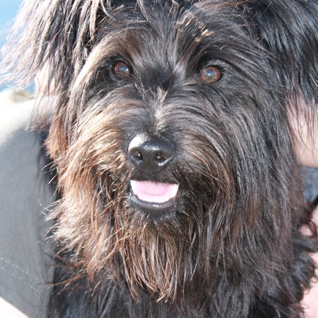 Urlaub im Allgäu (4)